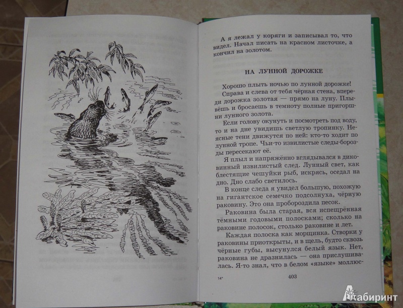 Иллюстрация 15 из 46 для Лесные тайнички - Николай Сладков | Лабиринт - книги. Источник: Natalia12345