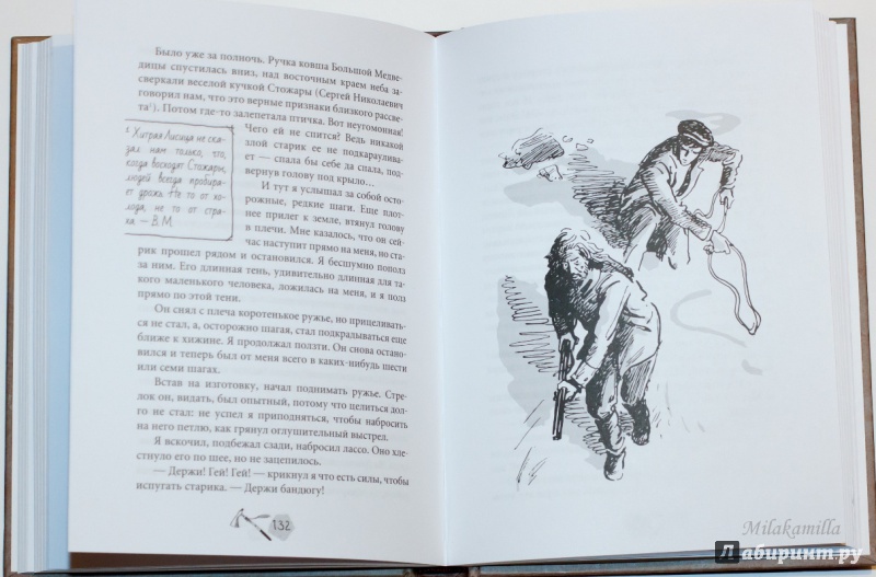 Иллюстрация 42 из 58 для Тайна золотой долины - Василий Клепов | Лабиринт - книги. Источник: Букландия