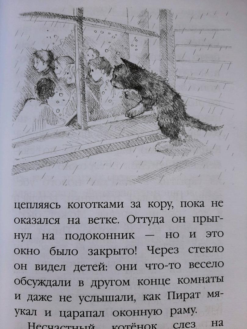 Иллюстрация 40 из 56 для Котёнок Пират, или Ловкий коготь - Холли Вебб | Лабиринт - книги. Источник: Елена Рясная
