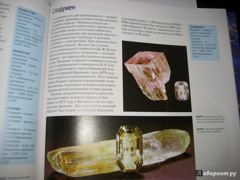 Иллюстрация 7 из 25 для Драгоценные камни - Олдершоу, Вудворд, Хардинг | Лабиринт - книги. Источник: So_va