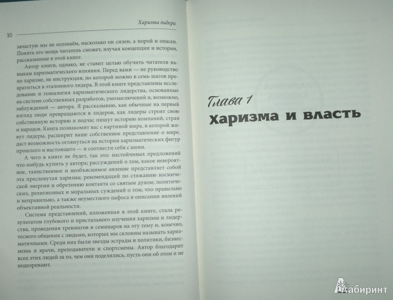 Иллюстрация 9 из 13 для Харизма лидера - Радислав Гандапас | Лабиринт - книги. Источник: Леонид Сергеев