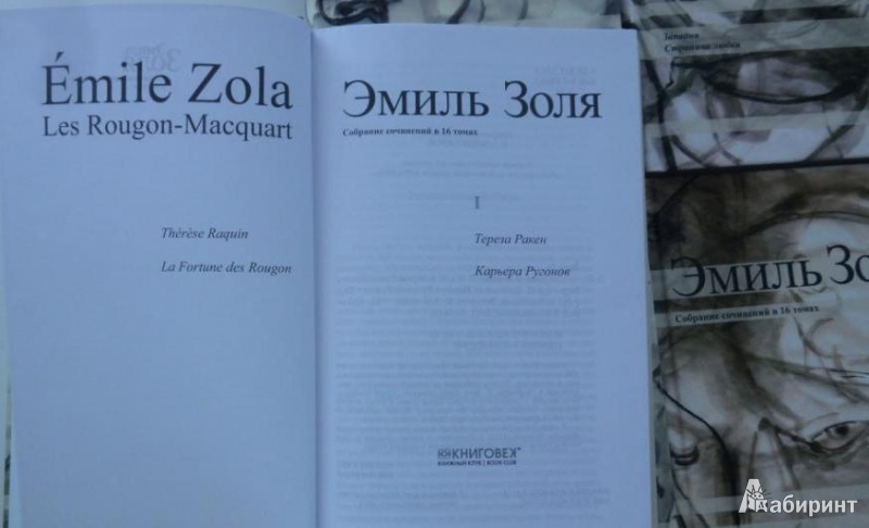 Иллюстрация 7 из 19 для Собрание сочинений в 16 томах - Эмиль Золя | Лабиринт - книги. Источник: Большой любитель книг