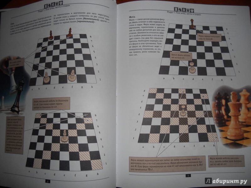 Иллюстрация 5 из 12 для Шахматы. Самый полный самоучитель для начинающих | Лабиринт - книги. Источник: alla_nov
