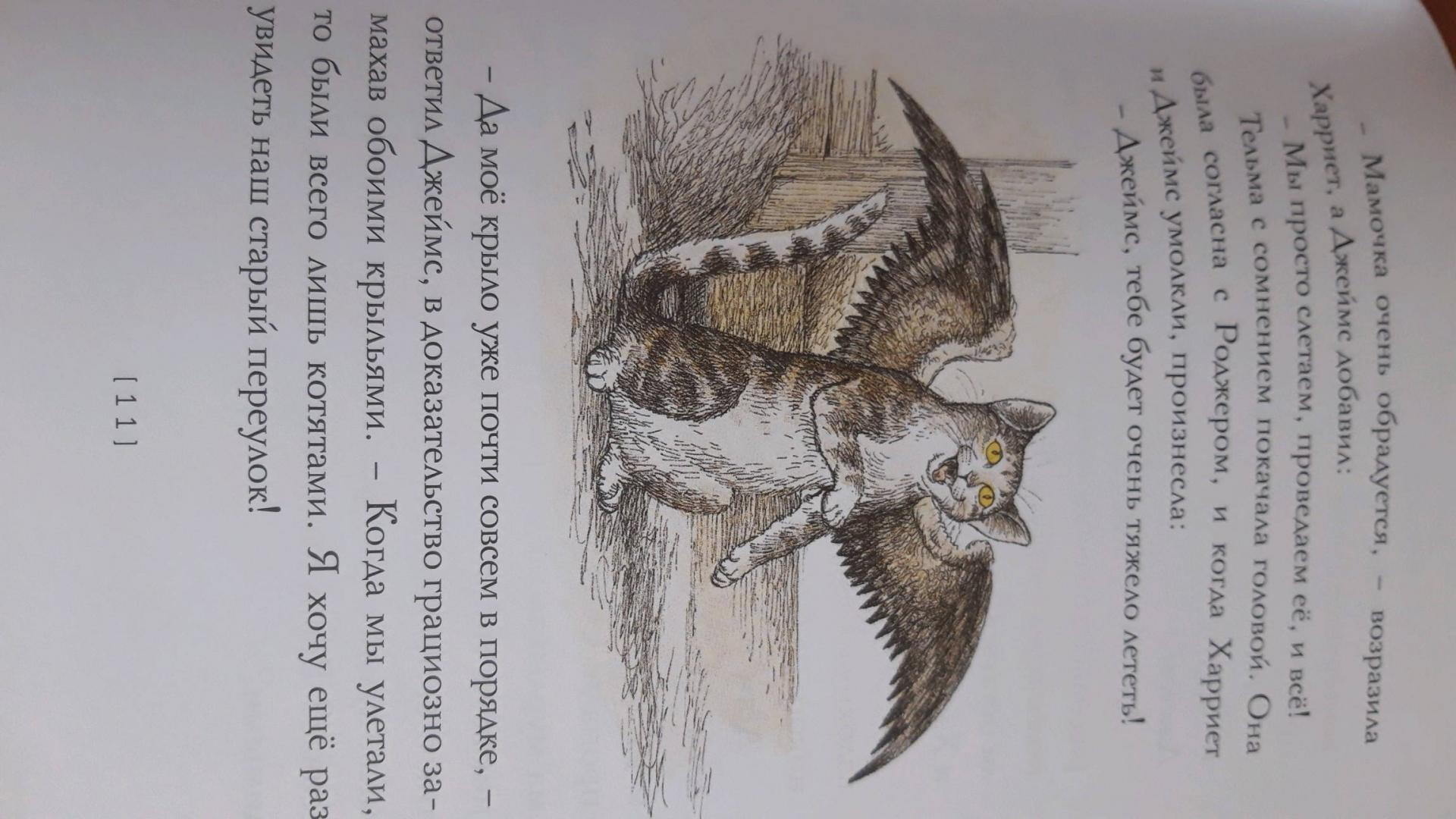 Иллюстрация 35 из 38 для Крылатые кошки возвращаются - Гуин Ле | Лабиринт - книги. Источник: Лабиринт