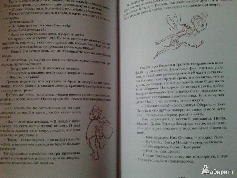 Иллюстрация 40 из 63 для Волшебный край короля Оберона | Лабиринт - книги. Источник: Yayoi