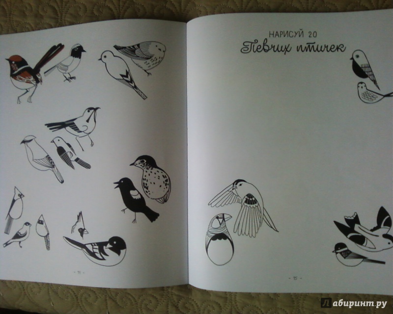 Иллюстрация 16 из 31 для 20 способов нарисовать кошку и 44 других удивительных животных - Джулия Куо | Лабиринт - книги. Источник: Родионова  Надежда