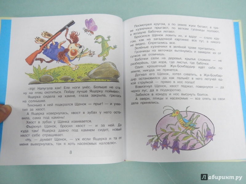 Иллюстрация 5 из 13 для Сказки о животных - Виталий Бианки | Лабиринт - книги. Источник: dbyyb