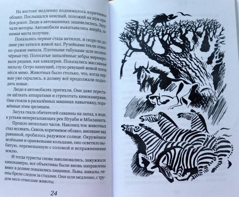 Иллюстрация 28 из 28 для Акула на песке - Святослав Сахарнов | Лабиринт - книги. Источник: Ассоль