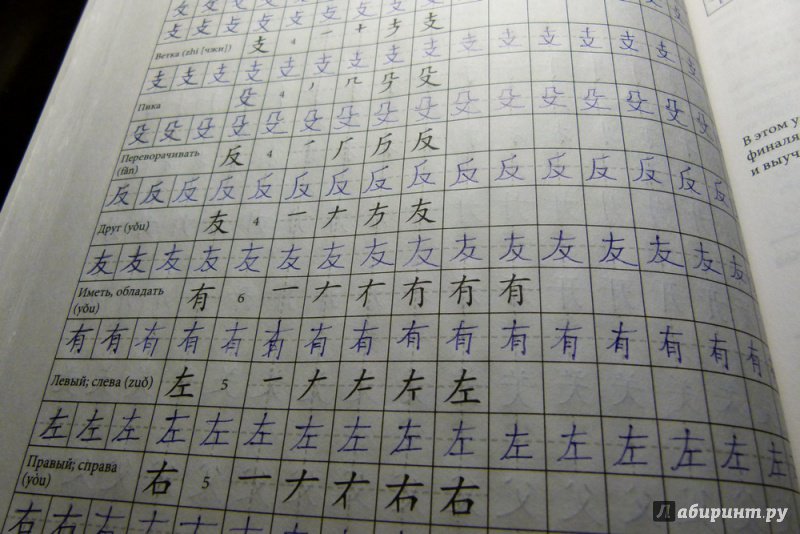 Иллюстрация 16 из 39 для Самоучитель. Китайский язык для начинающих (+CD) - Милена-Мария Карлова | Лабиринт - книги. Источник: Маруся