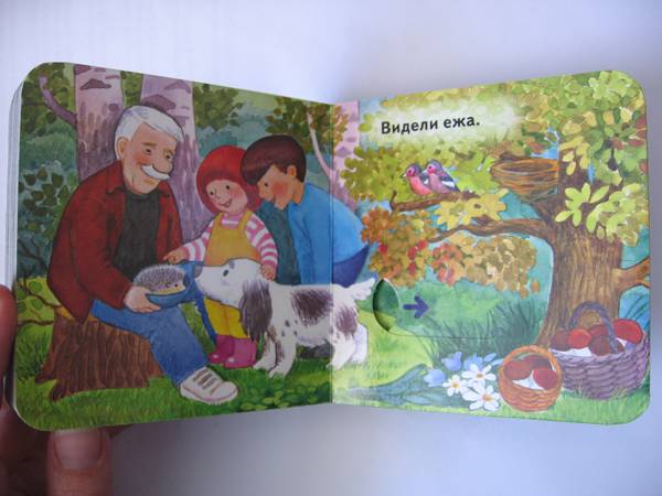 Иллюстрация 9 из 13 для Прогулка в лесу - Ольга Мяэотс | Лабиринт - книги. Источник: Репина  Наталья