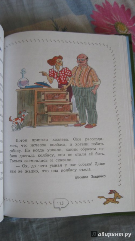 Иллюстрация 22 из 23 для Большая книга про собак - Пришвин, Георгиев, Сеф, Инбер | Лабиринт - книги. Источник: AttaTroll