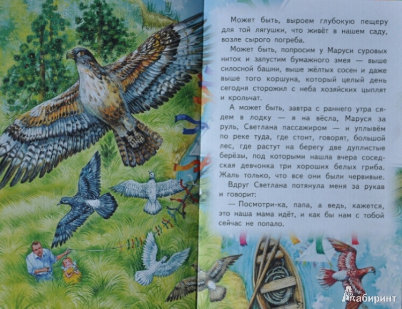 Иллюстрация 26 из 35 для Рассказы и сказки - Аркадий Гайдар | Лабиринт - книги. Источник: NDusha
