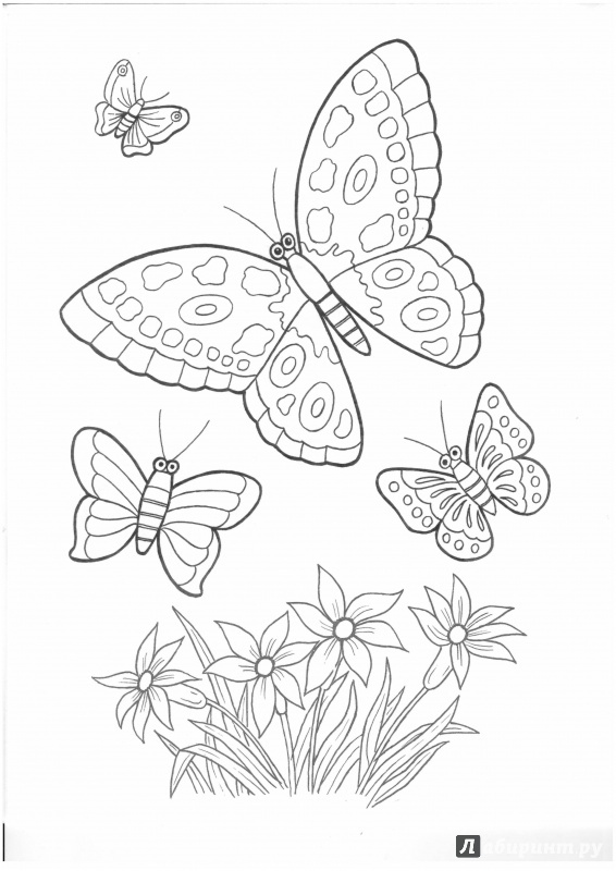 Иллюстрация 6 из 22 для Цветы и бабочки - Татьяна Коваль | Лабиринт - книги. Источник: Lechman@list.ru
