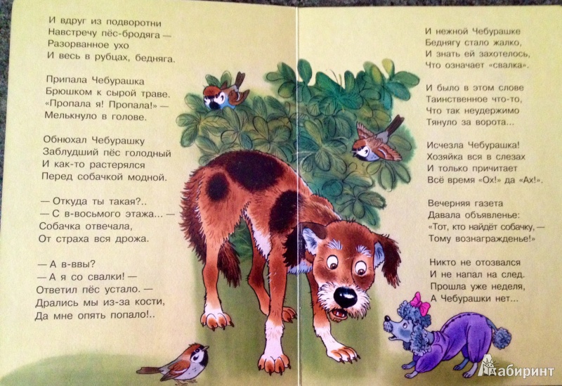 Иллюстрация 4 из 8 для Жила-была собачка - Сергей Михалков | Лабиринт - книги. Источник: Шкуровская  Екатерина