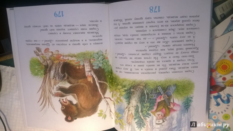 Иллюстрация 8 из 36 для Сказки для детей - Виталий Бианки | Лабиринт - книги. Источник: Федченко  Юлия Викторовна