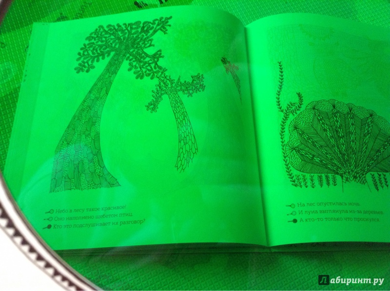 Иллюстрация 17 из 92 для Кто прячется в лесу? - Айна Бестард | Лабиринт - книги. Источник: Рыженкова  Анна