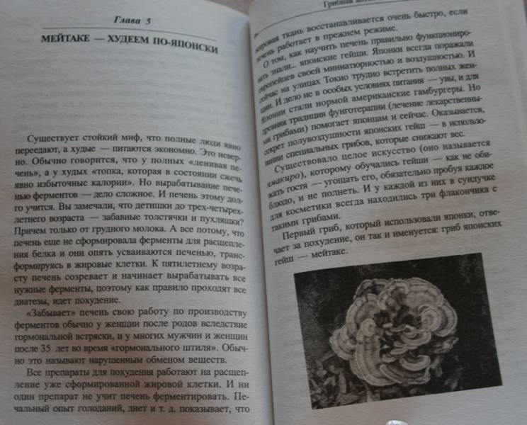 Иллюстрация 7 из 7 для Грибная аптека. Естественное лекарство нового тысячелетия - Ирина Филиппова | Лабиринт - книги. Источник: Демина  Елена Викторовна