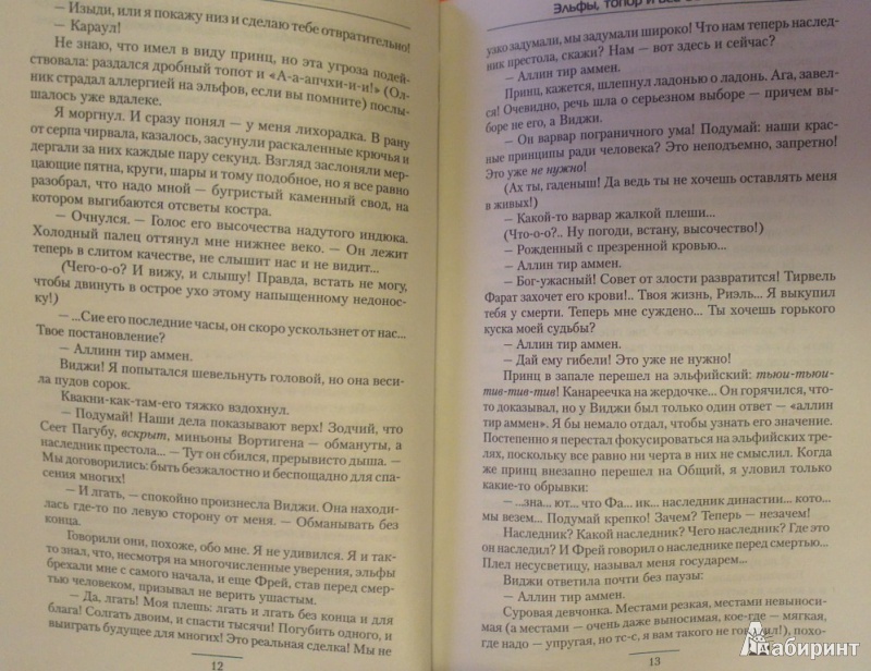 Иллюстрация 6 из 15 для Эльфы, топор и все остальное - Евгений Шепельский | Лабиринт - книги. Источник: Katty