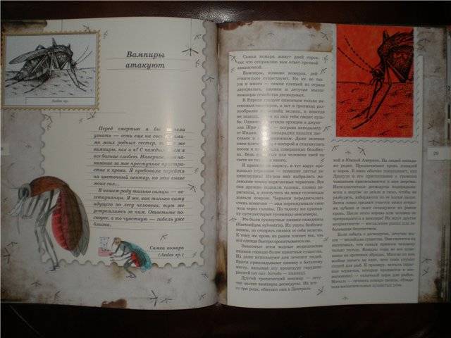 Иллюстрация 48 из 103 для Письма насекомых - Ольга Кувыкина | Лабиринт - книги. Источник: Гостья