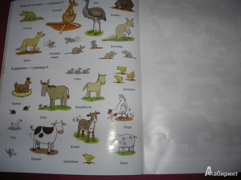 Иллюстрация 8 из 23 для Животные. Книга с наклейками (для детей от 4-х лет) | Лабиринт - книги. Источник: Tiger.