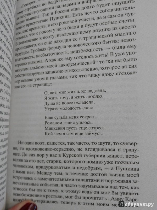 Иллюстрация 25 из 26 для Дар - Владимир Набоков | Лабиринт - книги. Источник: Сафиулина  Юлия