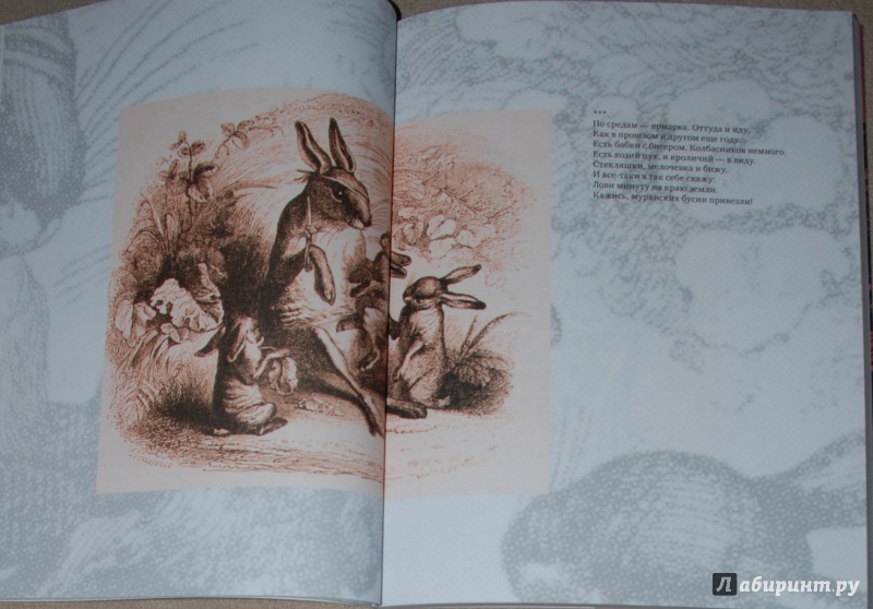 Иллюстрация 16 из 39 для Нормандская тетрадь - Вероника Долина | Лабиринт - книги. Источник: Книжный кот
