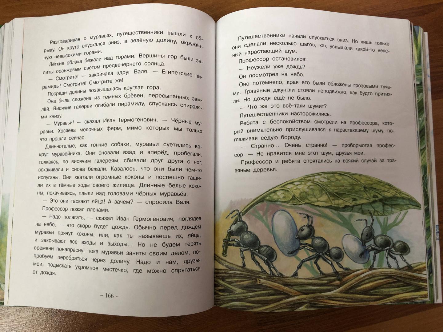 Иллюстрация 70 из 95 для Необыкновенные приключения Карика и Вали - Ян Ларри | Лабиринт - книги. Источник: ДинаЛана