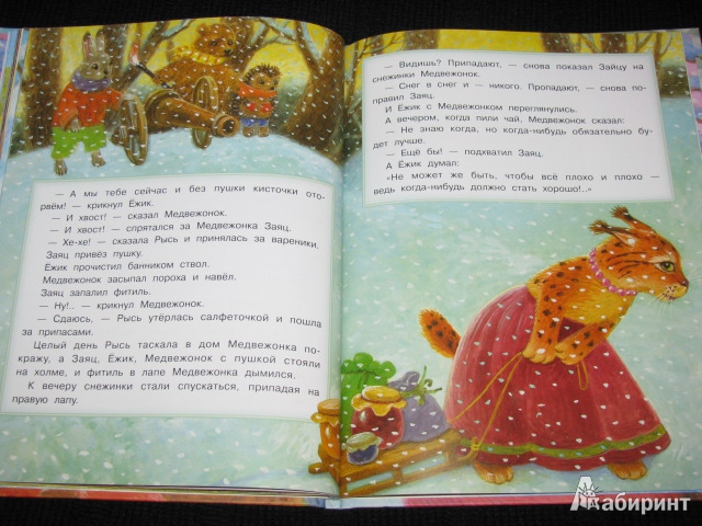 Иллюстрация 24 из 79 для Зимние сказки - Сергей Козлов | Лабиринт - книги. Источник: Nemertona