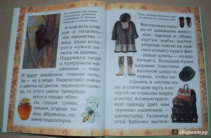 Иллюстрация 7 из 31 для Животные: помощники и друзья - Инна Гамазкова | Лабиринт - книги. Источник: Книжный кот
