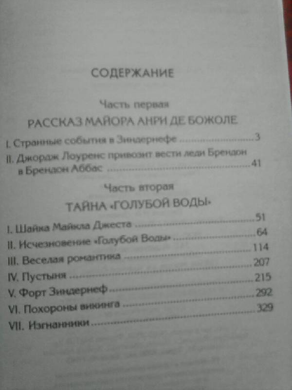 Иллюстрация 5 из 5 для Похороны викинга - Персиваль Рен | Лабиринт - книги. Источник: Мариночка666