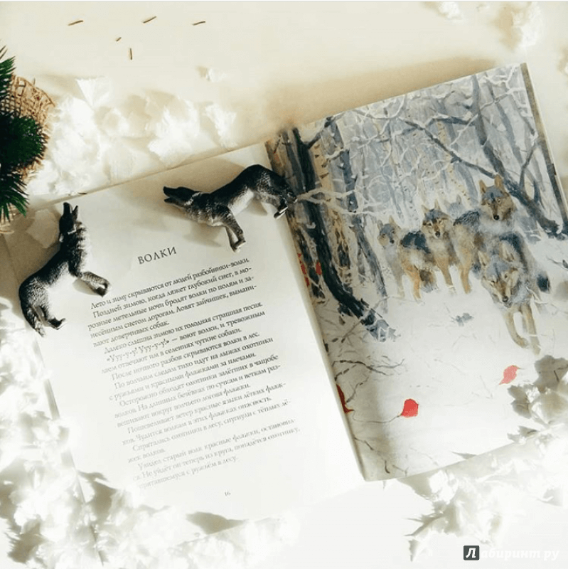 Иллюстрация 62 из 64 для Зима в лесу - Иван Соколов-Микитов | Лабиринт - книги. Источник: Лабиринт