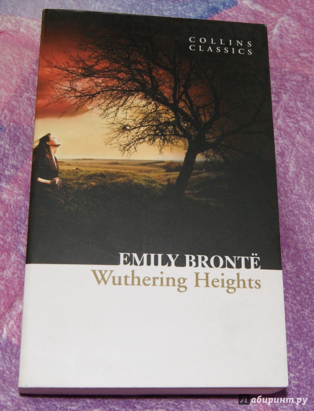 Иллюстрация 4 из 16 для Wuthering Heights - Emily Bronte | Лабиринт - книги. Источник: Tatiana Sheehan