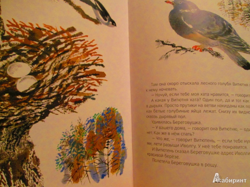 Иллюстрация 25 из 27 для Лесные домишки - Виталий Бианки | Лабиринт - книги. Источник: Алонсо Кихано