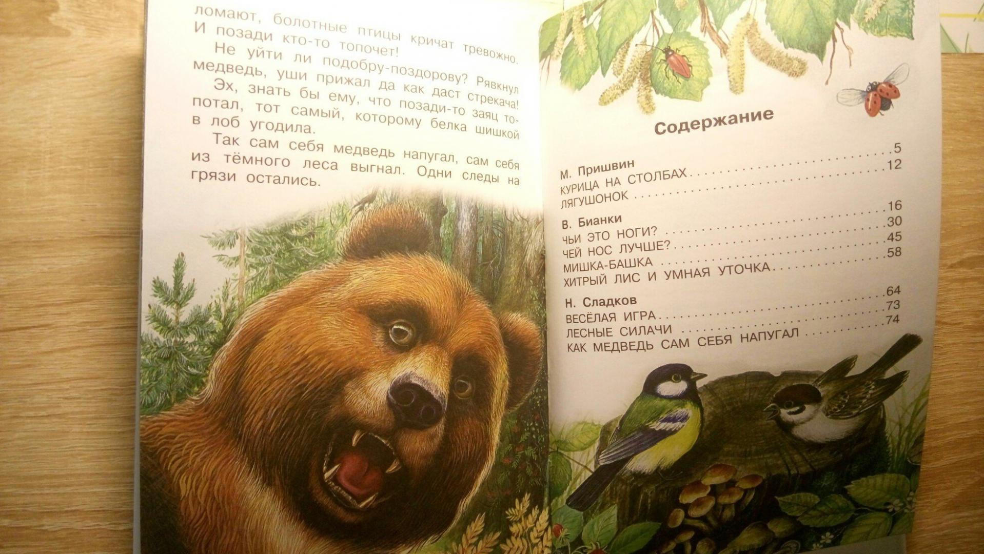 Иллюстрация 20 из 21 для Рассказы о природе - Бианки, Сладков, Пришвин | Лабиринт - книги. Источник: Анна888