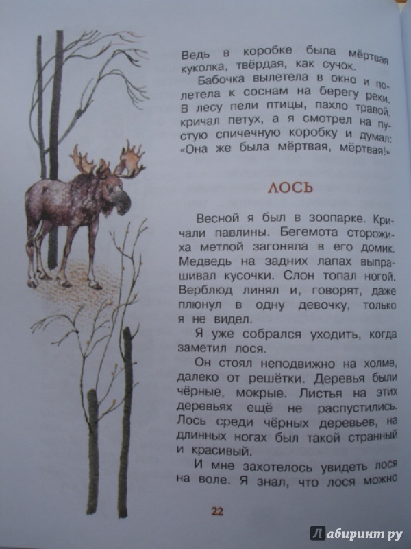 Иллюстрация 31 из 35 для Хитрый Бурундук - Геннадий Снегирев | Лабиринт - книги. Источник: Blackboard_Writer