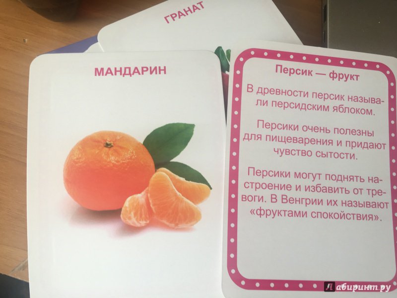 Иллюстрация 14 из 19 для Овощи, фрукты, ягоды (32 карточки) | Лабиринт - книги. Источник: Goryachaya03