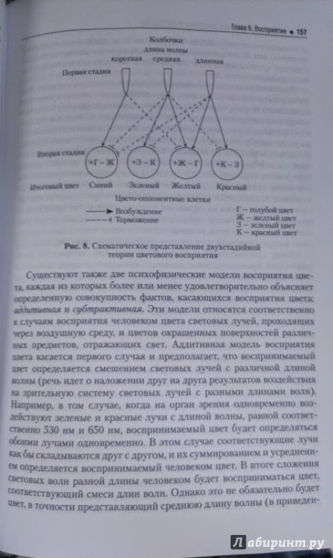 Иллюстрация 2 из 6 для Психология. Учебник - Роберт Немов | Лабиринт - книги. Источник: Annexiss