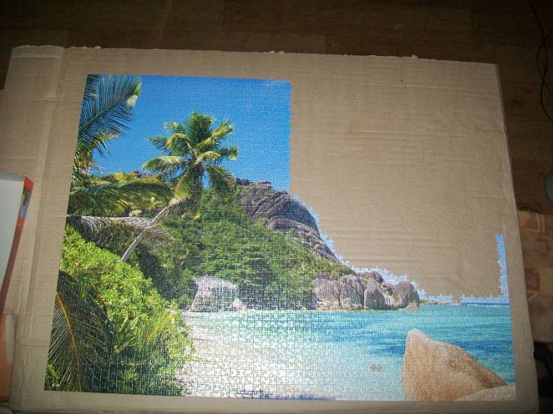 Иллюстрация 9 из 23 для Puzzle-3000. "Пляж, Сейшелы" (С-300228) | Лабиринт - игрушки. Источник: Лебедева  Елена Геннадьевна