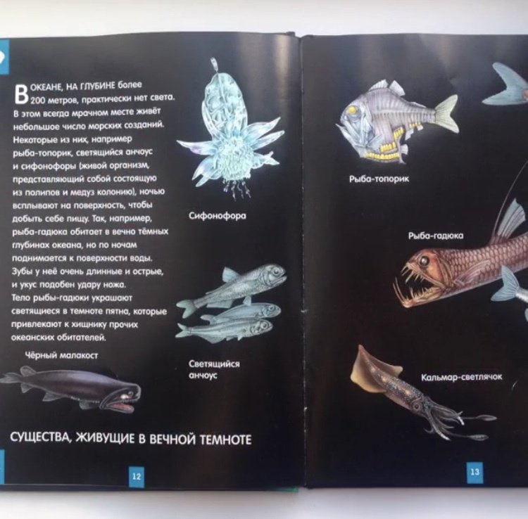 Иллюстрация 21 из 24 для Светящаяся книга о подводном мире - Николас Харрис | Лабиринт - книги. Источник: Зуева  Анастасия