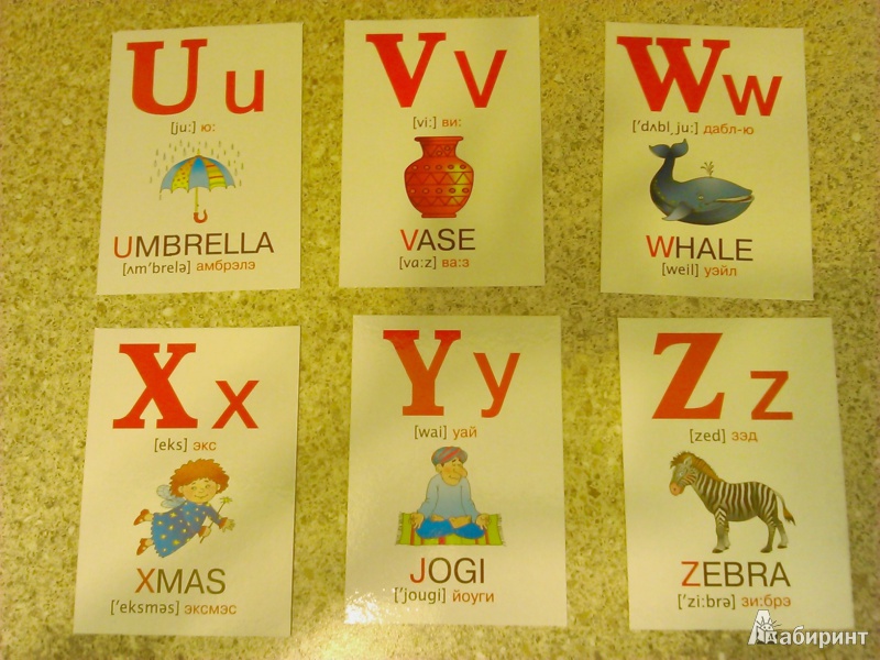 Иллюстрация 4 из 6 для Набор развивающих карточек "Английский алфавит" - В. Дмитриева | Лабиринт - книги. Источник: Калашникова  Марина