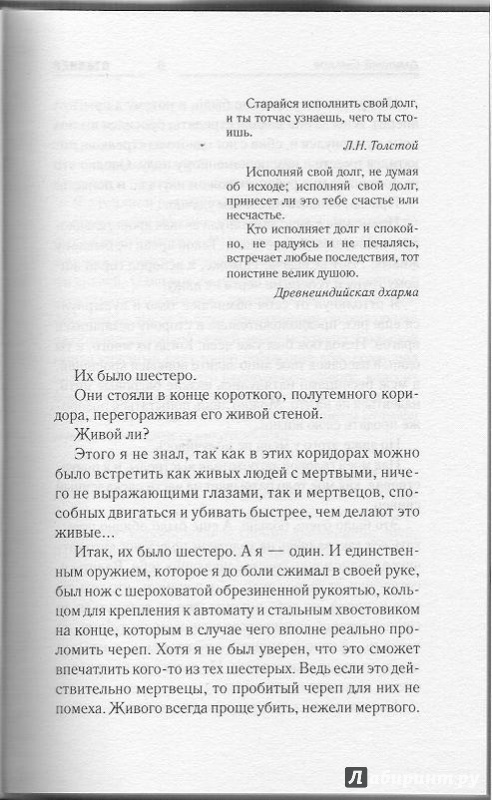Иллюстрация 16 из 42 для Закон долга - Дмитрий Силлов | Лабиринт - книги. Источник: Bash7
