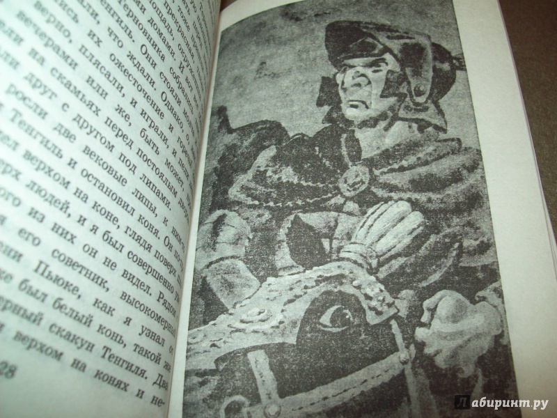 Иллюстрация 19 из 33 для Братья Львиное Сердце - Астрид Линдгрен | Лабиринт - книги. Источник: КошкаПолосатая