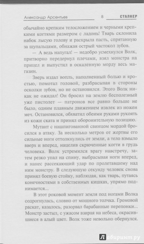 Иллюстрация 10 из 14 для Рейд - Александр Арсентьев | Лабиринт - книги. Источник: Bash7