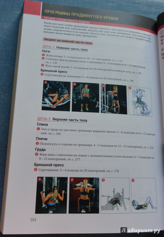 Иллюстрация 43 из 85 для Анатомия силовых тренировок для женщин - Делавье, Гандил | Лабиринт - книги. Источник: IrSh