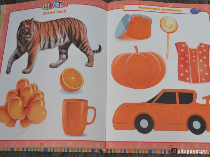 Иллюстрация 20 из 45 для Всё, что нужно знать малышам от 1 до 3 лет - Попова, Никитенко | Лабиринт - книги. Источник: Орлова Лариса