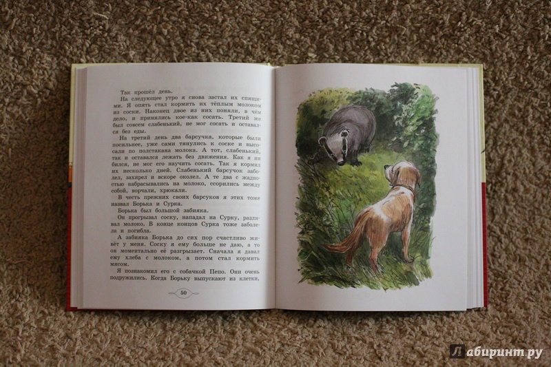 Иллюстрация 24 из 35 для Мои звери - Владимир Дуров | Лабиринт - книги. Источник: дважды