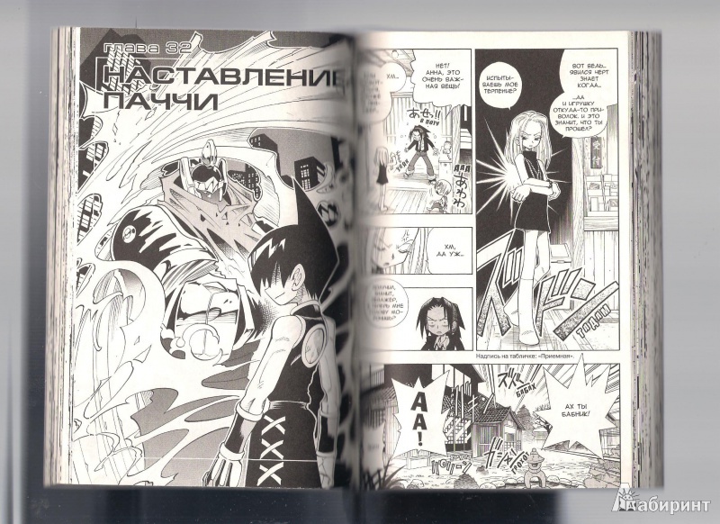 Иллюстрация 5 из 5 для Король-шаман. Книга 4. Тотемный столб - Такэи Хироюки | Лабиринт - книги. Источник: BlackSad
