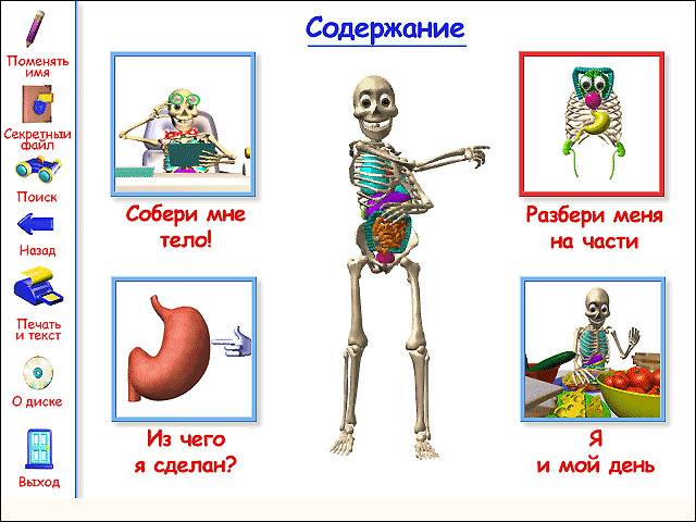 Иллюстрация 12 из 15 для Мое тело. Как оно устроено?: Интерактивная энциклопедия (CDpc) | Лабиринт - . Источник: МЕГ