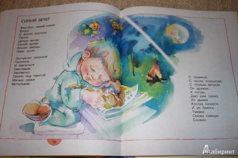 Иллюстрация 14 из 42 для Жили-были пони. Стихи - Ирина Пивоварова | Лабиринт - книги. Источник: Melonie