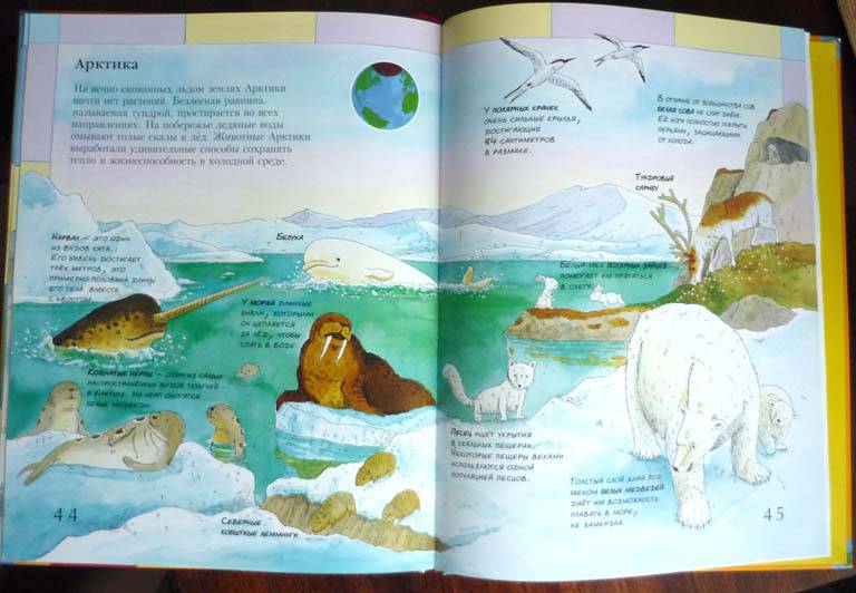 Иллюстрация 23 из 31 для Детский атлас животных - Дебора Чанселлор | Лабиринт - книги. Источник: Капитан Африка